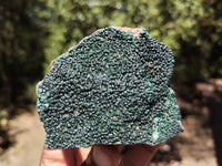 Natural Botryoidal Malachite Specimens x 4 From Congo