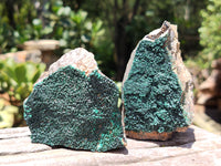 Natural Botryoidal Malachite Specimens x 4 From Congo