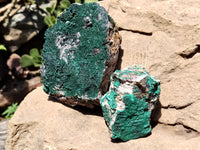 Natural Botryoidal Malachite Specimens x 4 From Congo