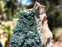 Natural Botryoidal Malachite Specimens x 4 From Congo