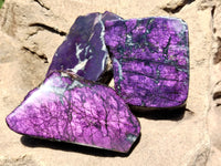 Polished Purpurite Free Forms x 6 From Namibia