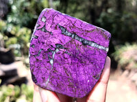 Polished Purpurite Free Forms x 6 From Namibia