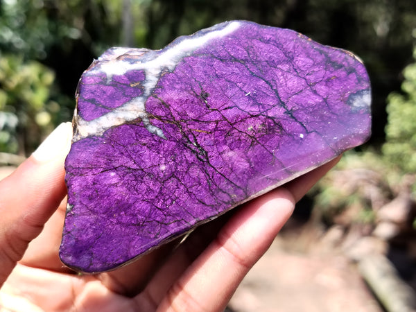 Polished Purpurite Free Forms x 6 From Namibia