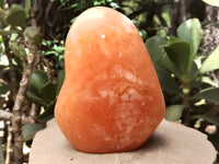 Polished Orange Twist Calcite Standing Free Form x 1 From Madagascar