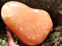 Polished Orange Twist Calcite Standing Free Form x 1 From Madagascar