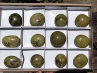 Polished Green Opal Palm Stones x 12 From Antsirabe, Madagascar