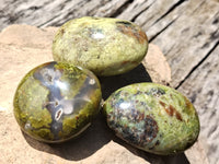 Polished Green Opal Palm Stones x 12 From Antsirabe, Madagascar