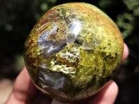 Polished Green Opal Palm Stones x 12 From Antsirabe, Madagascar