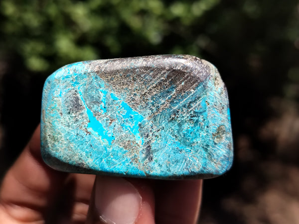 Polished Shattuckite with Azurite and Chrysocolla Free Forms x 12 From Congo