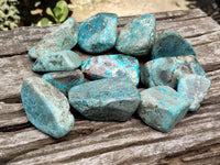 Polished Shattuckite with Azurite and Chrysocolla Free Forms x 12 From Congo