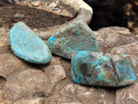 Polished Shattuckite with Azurite and Chrysocolla Free Forms x 12 From Congo