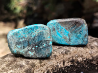 Polished Shattuckite with Azurite and Chrysocolla Free Forms x 12 From Congo