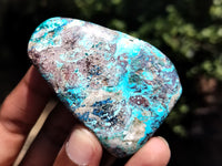 Polished Shattuckite with Azurite and Chrysocolla Free Forms x 12 From Congo