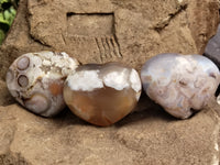 Polished Flower Agate Gemstone Hearts x 6 From Antsahalova, Madagascar