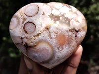 Polished Flower Agate Gemstone Hearts x 6 From Antsahalova, Madagascar