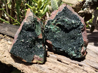 Natural Libethenite Crystals On Dolomite Matrix Specimens x 2 From Shituru, Congo