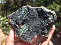 Natural Libethenite Crystals On Dolomite Matrix Specimens x 2 From Shituru, Congo