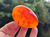 Polished Carnelian Palm Stones x 12 From Madagascar