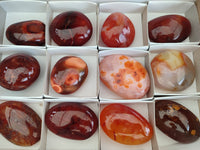 Polished Carnelian Palm Stones x 12 From Madagascar