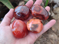 Polished Carnelian Palm Stones x 12 From Madagascar