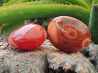 Polished Carnelian Palm Stones x 12 From Madagascar