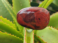 Polished Carnelian Palm Stones x 12 From Madagascar