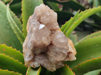 Natural Smokey Phantom Quartz Clusters x 2 From Luena, Congo