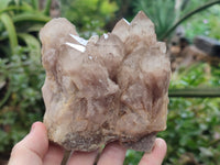 Natural Smokey Phantom Quartz Clusters x 2 From Luena, Congo