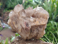 Natural Smokey Phantom Quartz Clusters x 2 From Luena, Congo