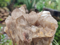 Natural Smokey Phantom Quartz Clusters x 2 From Luena, Congo