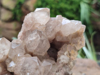 Natural Smokey Phantom Quartz Clusters x 2 From Luena, Congo