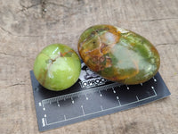 Polished Green Opal Palm Stones x 12 From Antsirabe, Madagascar