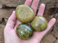 Polished Green Opal Palm Stones x 12 From Antsirabe, Madagascar