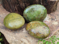 Polished Green Opal Palm Stones x 12 From Antsirabe, Madagascar