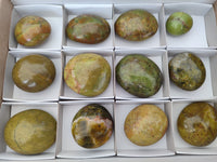 Polished Green Opal Palm Stones x 12 From Antsirabe, Madagascar