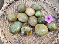 Polished Green Opal Palm Stones x 12 From Antsirabe, Madagascar