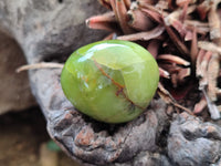 Polished Green Opal Palm Stones x 12 From Antsirabe, Madagascar