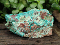 Natural Shattuckite with Azurite and Chrysocolla Specimens x 6 From Namibia