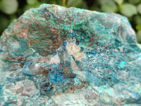 Natural Shattuckite with Azurite and Chrysocolla Specimens x 6 From Namibia