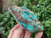 Natural Shattuckite with Azurite and Chrysocolla Specimens x 6 From Namibia