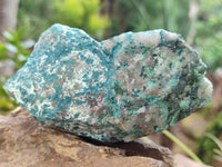 Natural Shattuckite with Azurite and Chrysocolla Specimens x 6 From Namibia