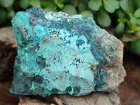 Natural Shattuckite with Azurite and Chrysocolla Specimens x 6 From Namibia