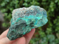 Natural Shattuckite with Azurite and Chrysocolla Specimens x 6 From Namibia