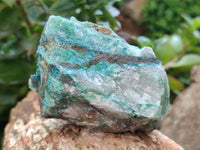 Natural Shattuckite with Azurite and Chrysocolla Specimens x 6 From Namibia