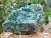 Natural Shattuckite with Azurite and Chrysocolla Specimens x 6 From Namibia