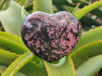 Polished Rhodonite Gemstone Hearts x 4 From Madagascar