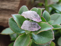 Natural Zululand Amethyst Crystals x 1.6 Kg Lot From South Africa