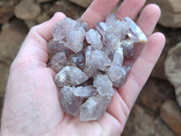 Natural Zululand Amethyst Crystals x 1.6 Kg Lot From South Africa