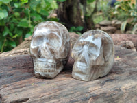 Polished Smokey Quartz Skulls x 2 From Madagascar