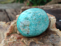 Polished Amazonite Palm Stones x 12 from Madagascar